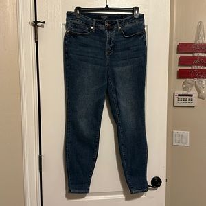 Judy Blue Skinny Fit jeans 14W